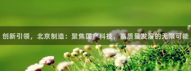 星欧娱乐注册官网入口：创新引领，北京制造：聚焦国产科技，高质