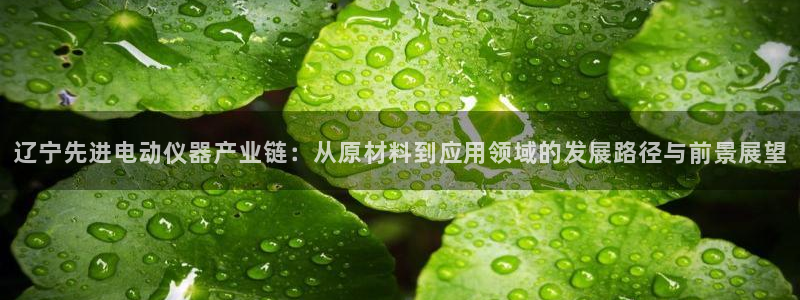 星欧娱乐注册客服电话：辽宁先进电动仪器产业链：从原材料到应用