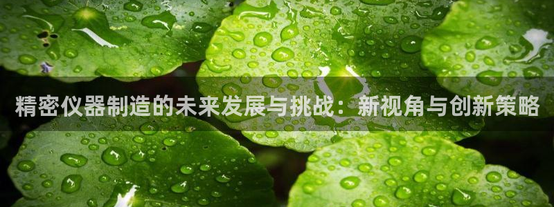 欧星老虎机娱乐：精密仪器制造的未来发展与挑战：新视角与创新策