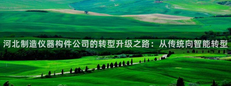 欧豪娱乐星天地采访：河北制造仪器构件公司的转型升级之路：从传