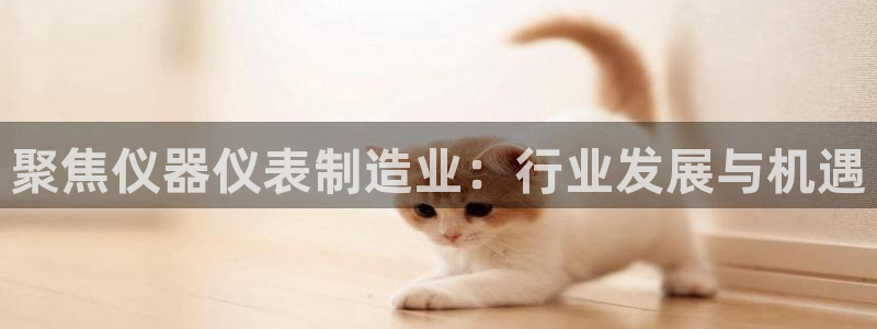 星欧娱乐老版本下载：聚焦仪器仪表制造业：行业发展与机遇