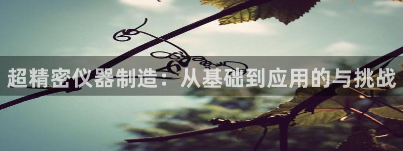 欧乐星城有没有娱乐设施：超精密仪器制造：从基础到应用的与挑战