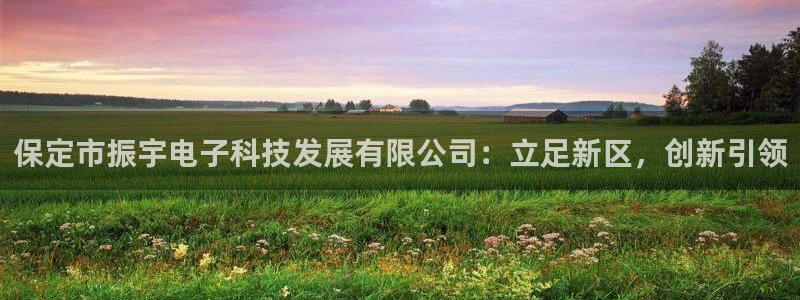 欧星娱乐视频：保定市振宇电子科技发展有限公司：立足新区，创新