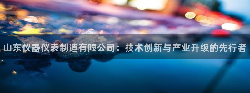 武汉欧汇星娱乐城：山东仪器仪表制造有限公司：技术创新与产业升