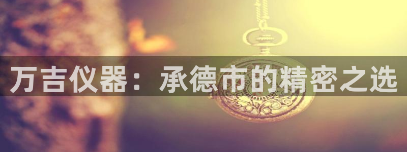 星欧娱乐号7o777：万吉仪器：承德市的精密之选