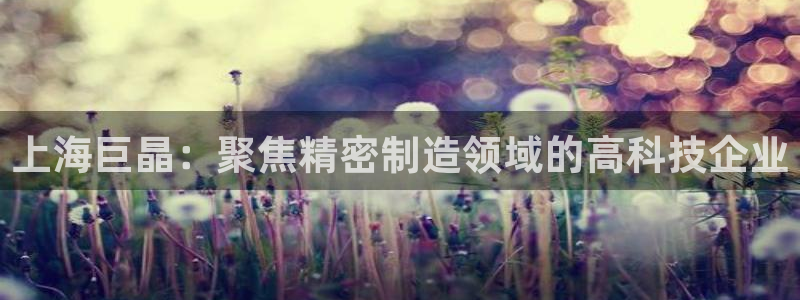 欧星国际娱乐：上海巨晶：聚焦精密制造领域的高科技企业