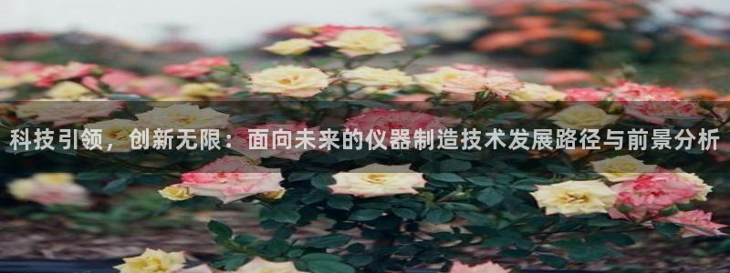 星欧娱乐官方网站：科技引领，创新无限：面向未来的仪器制造技术