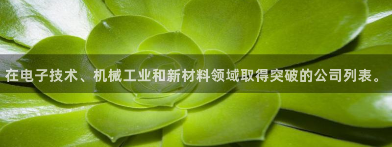 欧星娱乐国际平台：在电子技术、机械工业和新材料领域取得突破的