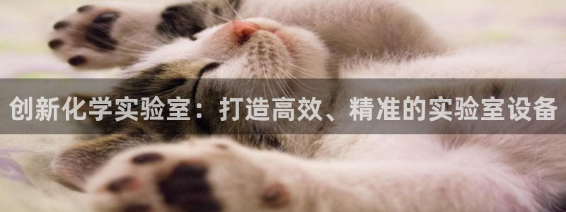娱乐星天地马思纯欧豪：创新化学实验室：打造高效、精准的实验室
