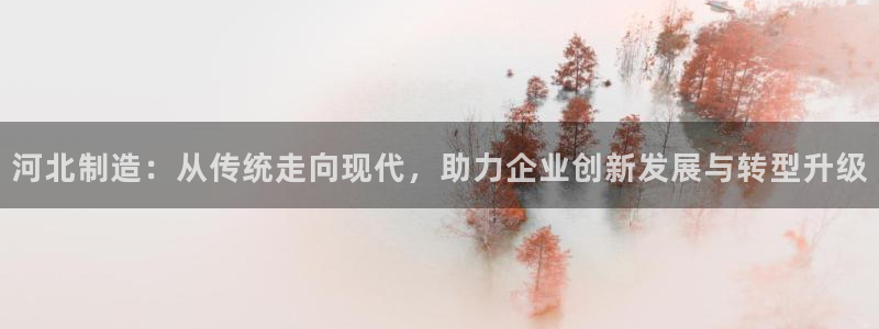 星欧娱乐官网在线登录入口：河北制造：从传统走向现代，助力企业