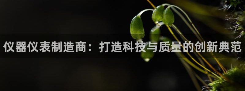 星欧娱乐注册40046：仪器仪表制造商：打造科技与质量的创新