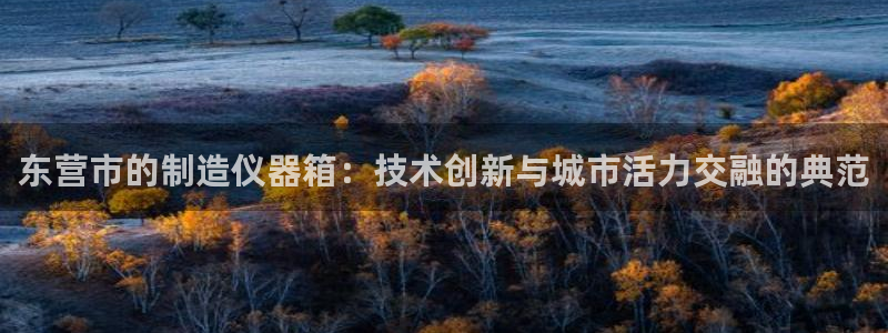 星欧娱乐注册资金多少：东营市的制造仪器箱：技术创新与城市活力