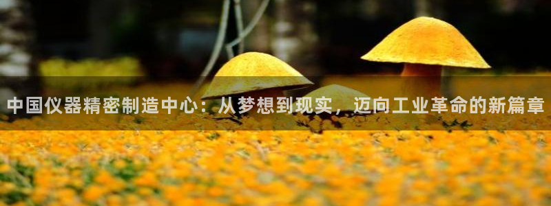 欧星娱乐平台是黑的吗?：中国仪器精密制造中心：从梦想到现实，