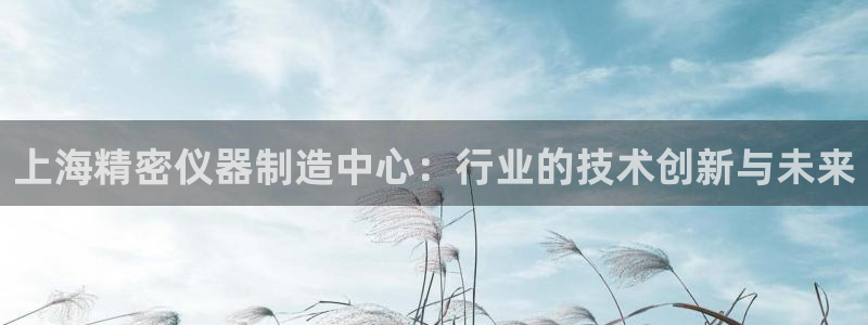 星欧娱乐平台是否安全：上海精密仪器制造中心：行业的技术创新与
