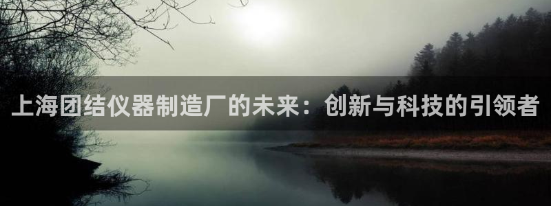 武汉欧汇星娱乐城：上海团结仪器制造厂的未来：创新与科技的引领