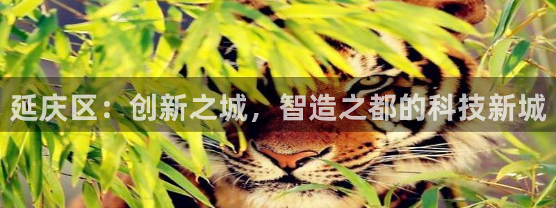 星欧娱乐注册客服电话：延庆区：创新之城，智造之都的科技新城