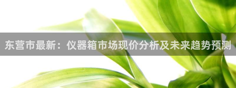 欧星娱乐 拉勾：东营市最新：仪器箱市场现价分析及未来趋势预测