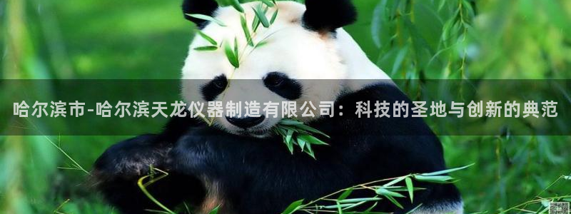 星欧娱乐在线注册：哈尔滨市-哈尔滨天龙仪器制造有限公司：科技