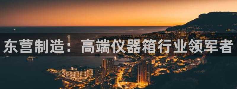 星欧娱乐旗下艺人名单：东营制造：高端仪器箱行业领军者