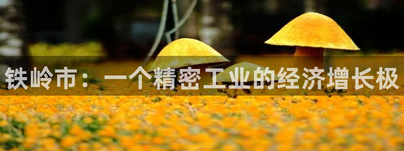 星欧娱乐官方网站客服：铁岭市：一个精密工业的经济增长极
