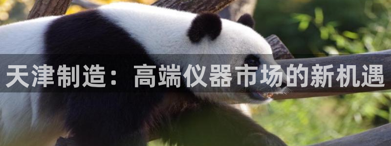 星欧娱乐登录入口：天津制造：高端仪器市场的新机遇