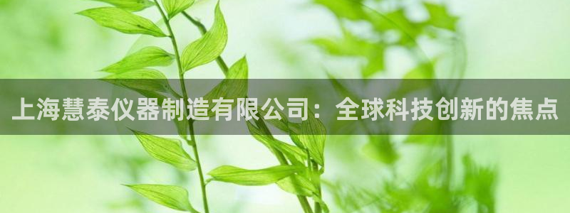 星欧娱乐官方：上海慧泰仪器制造有限公司：全球科技创新的焦点