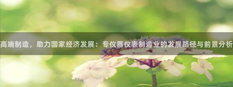 星欧娱乐606251：高端制造，助力国家经济发展：专仪器仪表