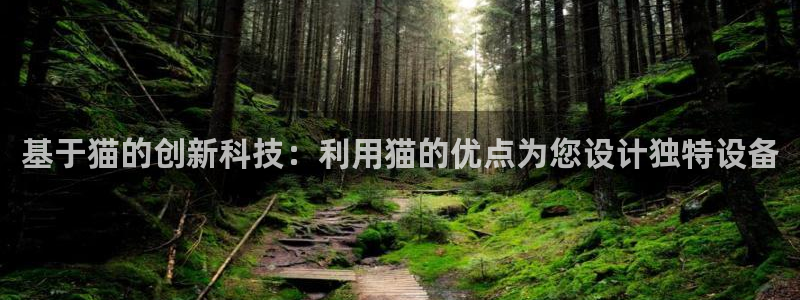 星欧娱乐文化无锡：基于猫的创新科技：利用猫的优点为您设计独特