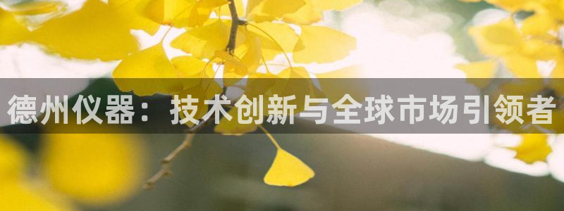 星欧娱乐最新活动：德州仪器：技术创新与全球市场引领者