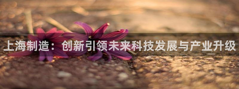 欧星娱乐国际平台：上海制造：创新引领未来科技发展与产业升级