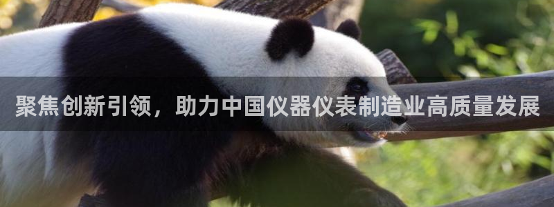 星娱乐欧嘉78778：聚焦创新引领，助力中国仪器仪表制造业高