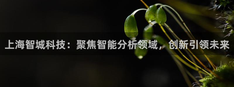 星欧娱乐平台靠谱吗：上海智城科技：聚焦智能分析领域，创新引领