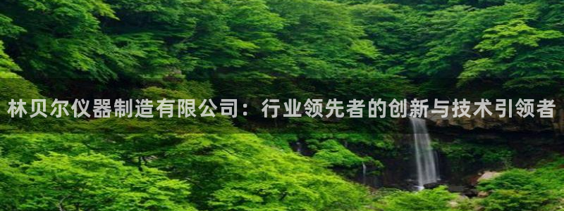 欧星娱乐的活动：林贝尔仪器制造有限公司：行业领先者的创新与技