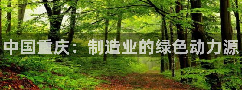 欧星娱乐最新地址：中国重庆：制造业的绿色动力源