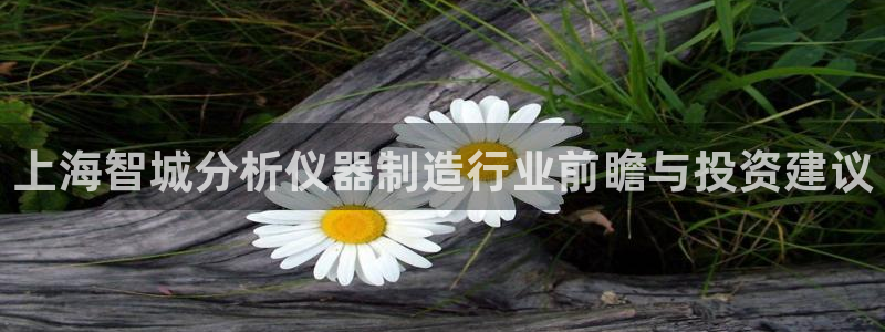 星欧娱乐注册客服电话：上海智城分析仪器制造行业前瞻与投资建议