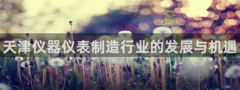 欧星娱乐网站多少：天津仪器仪表制造行业的发展与机遇