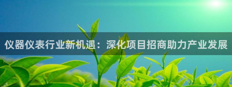 星欧娱乐app注册：仪器仪表行业新机遇：深化项目招商助力产业