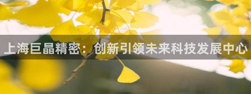 星欧娱乐客服电话：上海巨晶精密：创新引领未来科技发展中心