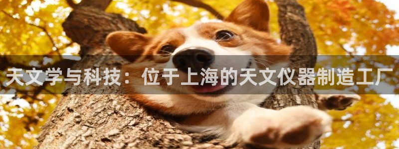欧星在线娱乐下载安装：天文学与科技：位于上海的天文仪器制造工