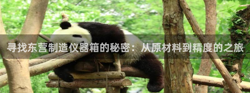 星欧娱乐登录：寻找东营制造仪器箱的秘密：从原材料到精度的之旅