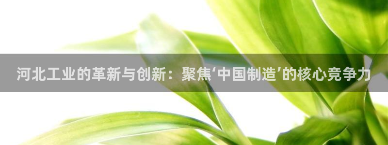星欧娱乐官方：河北工业的革新与创新：聚焦‘中国制造’的核心竞