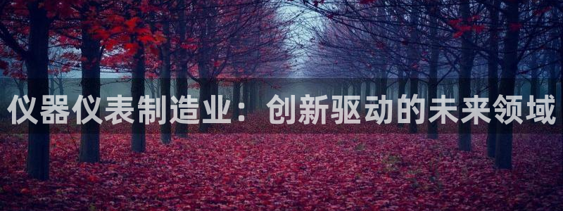 星欧娱乐官网入口手机版：仪器仪表制造业：创新驱动的未来领域