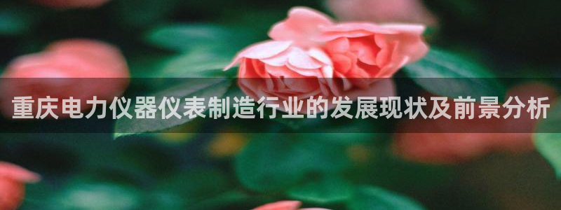 星欧娱乐是正规平台吗：重庆电力仪器仪表制造行业的发展现状及前