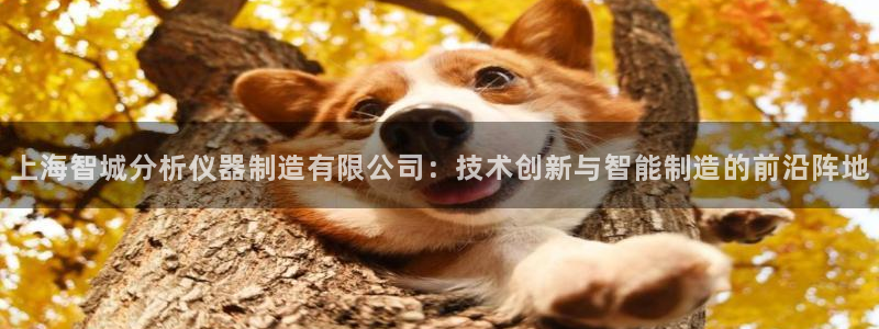 欧星娱乐网站多少：上海智城分析仪器制造有限公司：技术创新与智