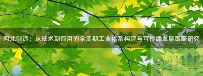 星欧娱乐公司电话号码：河北制造：从技术到应用的全周期工业体系