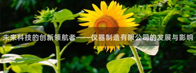 星欧娱乐挂机：未来科技的创新领航者——仪器制造有限公司的发展