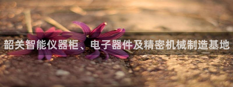 欧星娱乐网址接受：韶关智能仪器柜、电子器件及精密机械制造基地