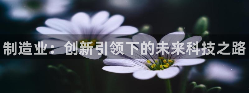 星欧娱乐在线注册：制造业：创新引领下的未来科技之路