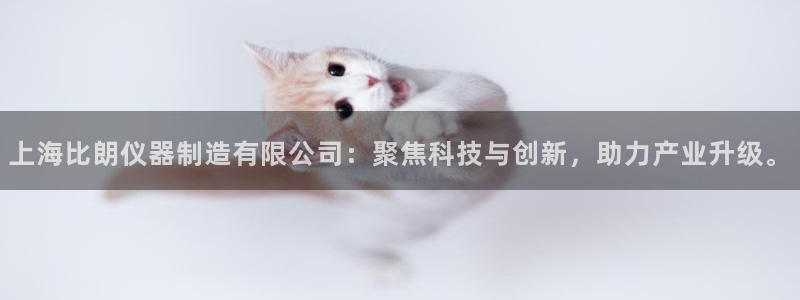 星欧娱乐赞7O777：上海比朗仪器制造有限公司：聚焦科技与创