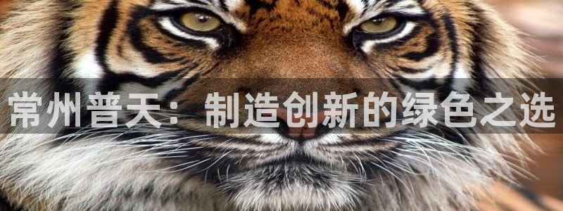 星欧娱乐平台官网入口：常州普天：制造创新的绿色之选